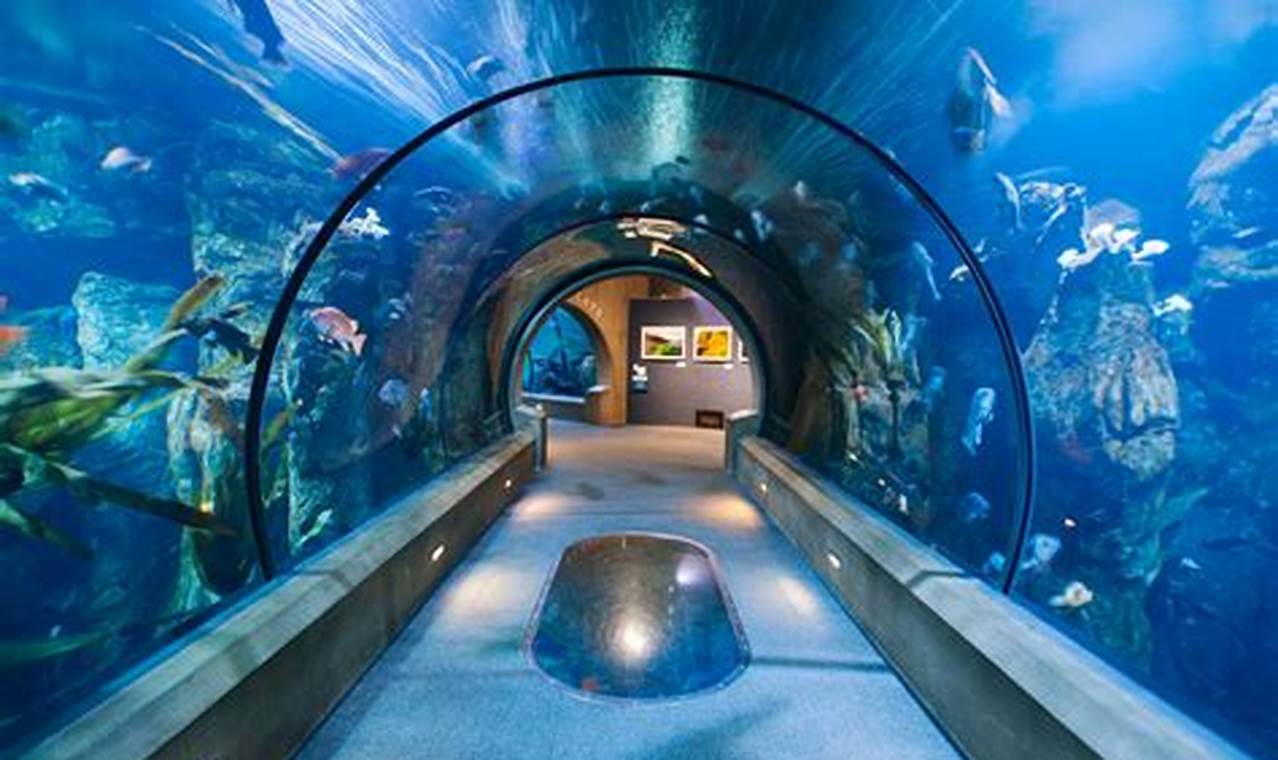 Careers: Oregon Coast Aquarium Jobs & More! Living in Oregon: Moving Tips, Cost of Living & Best Cities Careers: Oregon Coast Aquarium Jobs & More! | Living in Oregon: Moving Tips, Cost of Living & Best Cities