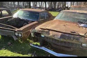 Salvage Yard Salem Oregon Living in Oregon: Moving Tips, Cost of Living & Best Cities Salvage Yard Salem Oregon | Living in Oregon: Moving Tips, Cost of Living & Best Cities