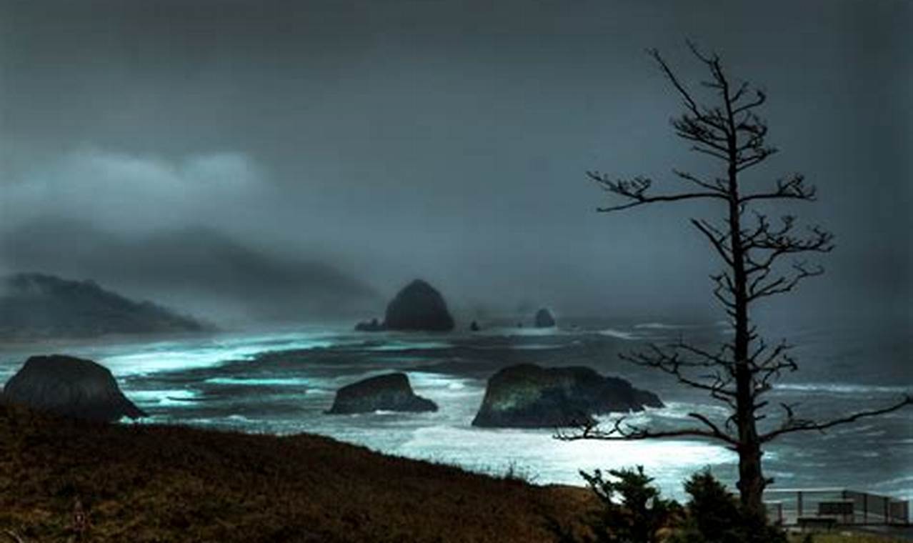 Bracing for the Next Oregon Coast Storm: Safety Tips & More Living in Oregon: Moving Tips, Cost of Living & Best Cities Bracing for the Next Oregon Coast Storm: Safety Tips & More | Living in Oregon: Moving Tips, Cost of Living & Best Cities