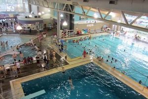 Dive In! Public Swimming Pools in Portland, OR Guide Living in Oregon: Moving Tips, Cost of Living & Best Cities Dive In! Public Swimming Pools in Portland, OR Guide | Living in Oregon: Moving Tips, Cost of Living & Best Cities