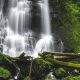Best Eugene, Oregon Waterfalls + Hidden Gems! | Living in Oregon: Moving Tips, Cost of Living & Best Cities