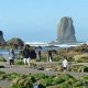 Explore the Best Tide Pools on Oregon Coast Today! | Living in Oregon: Moving Tips, Cost of Living & Best Cities
