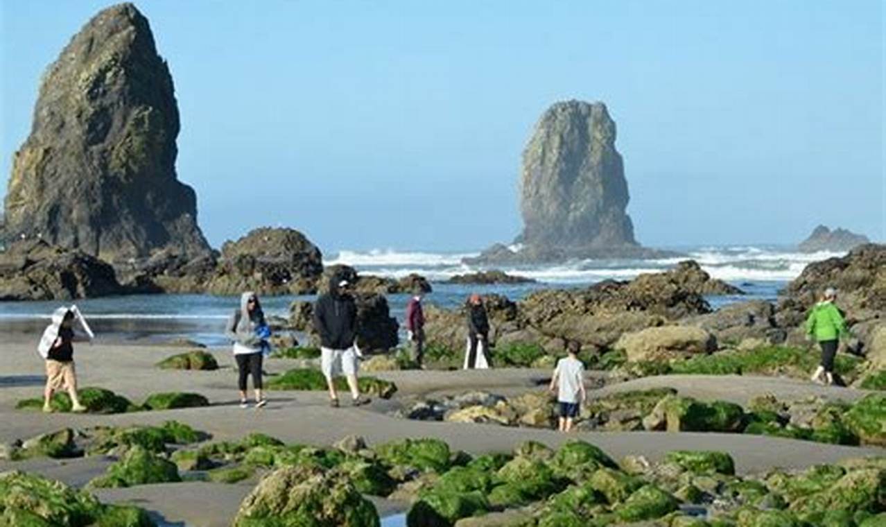 Explore the Best Tide Pools on Oregon Coast Today! Living in Oregon: Moving Tips, Cost of Living & Best Cities Explore the Best Tide Pools on Oregon Coast Today! | Living in Oregon: Moving Tips, Cost of Living & Best Cities