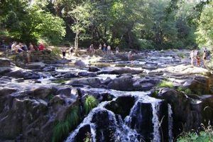 Best Hiking Near Falls City Oregon: Trails & Tips Living in Oregon: Moving Tips, Cost of Living & Best Cities Best Hiking Near Falls City Oregon: Trails & Tips | Living in Oregon: Moving Tips, Cost of Living & Best Cities