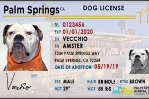 Get Your Marion County, Oregon Dog License Quickly Living in Oregon: Moving Tips, Cost of Living & Best Cities Get Your Marion County, Oregon Dog License Quickly | Living in Oregon: Moving Tips, Cost of Living & Best Cities