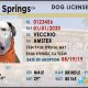 Get Your Marion County, Oregon Dog License Quickly | Living in Oregon: Moving Tips, Cost of Living & Best Cities