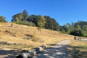 Explore Newberg, Oregon Parks: Your Guide to Green Spaces Living in Oregon: Moving Tips, Cost of Living & Best Cities Explore Newberg, Oregon Parks: Your Guide to Green Spaces | Living in Oregon: Moving Tips, Cost of Living & Best Cities