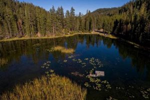 Plan Your Trip: Tumalo Lake, Oregon Adventure! Living in Oregon: Moving Tips, Cost of Living & Best Cities Plan Your Trip: Tumalo Lake, Oregon Adventure! | Living in Oregon: Moving Tips, Cost of Living & Best Cities