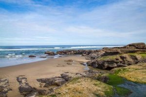 Explore Oregon Coast Tide Pools: Hidden Gems! Living in Oregon: Moving Tips, Cost of Living & Best Cities Explore Oregon Coast Tide Pools: Hidden Gems! | Living in Oregon: Moving Tips, Cost of Living & Best Cities