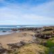 Explore Oregon Coast Tide Pools: Hidden Gems! | Living in Oregon: Moving Tips, Cost of Living & Best Cities