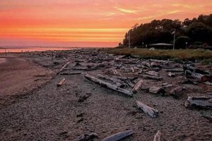 Lincoln City, OR: Tide Times & Coastal Guide Living in Oregon: Moving Tips, Cost of Living & Best Cities Lincoln City, OR: Tide Times & Coastal Guide | Living in Oregon: Moving Tips, Cost of Living & Best Cities