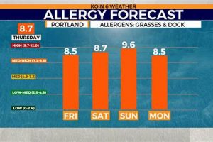 Bend, OR: Pollen Count Today & Allergy Tips Living in Oregon: Moving Tips, Cost of Living & Best Cities Bend, OR: Pollen Count Today & Allergy Tips | Living in Oregon: Moving Tips, Cost of Living & Best Cities
