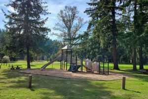 Explore Schwarz Park, Oregon: Nature's Gem + Tips Living in Oregon: Moving Tips, Cost of Living & Best Cities Explore Schwarz Park, Oregon: Nature's Gem + Tips | Living in Oregon: Moving Tips, Cost of Living & Best Cities