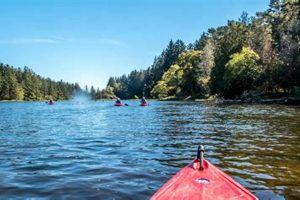 Discover Coffenbury Lake Oregon: A Nature's Gem Living in Oregon: Moving Tips, Cost of Living & Best Cities Discover Coffenbury Lake Oregon: A Nature's Gem | Living in Oregon: Moving Tips, Cost of Living & Best Cities
