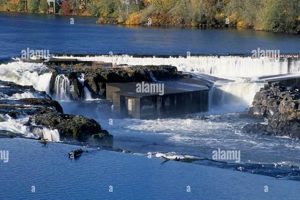 Discover Oregon Falls City: Nature's Gem Guide Living in Oregon: Moving Tips, Cost of Living & Best Cities Discover Oregon Falls City: Nature's Gem Guide | Living in Oregon: Moving Tips, Cost of Living & Best Cities