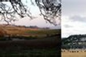 Find Green: Environmental Jobs Portland, Oregon Today! Living in Oregon: Moving Tips, Cost of Living & Best Cities Find Green: Environmental Jobs Portland, Oregon Today! | Living in Oregon: Moving Tips, Cost of Living & Best Cities