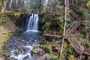 Explore: Lebanon Oregon Parks & Green Spaces Guide Living in Oregon: Moving Tips, Cost of Living & Best Cities Explore: Lebanon Oregon Parks & Green Spaces Guide | Living in Oregon: Moving Tips, Cost of Living & Best Cities