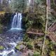 Explore: Lebanon Oregon Parks &amp; Green Spaces Guide | Living in Oregon: Moving Tips, Cost of Living & Best Cities