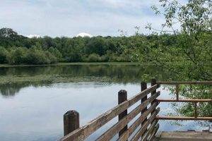 Discover Freeway Lakes Oregon: Nature's Roadside Gems Living in Oregon: Moving Tips, Cost of Living & Best Cities Discover Freeway Lakes Oregon: Nature's Roadside Gems | Living in Oregon: Moving Tips, Cost of Living & Best Cities