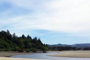 Visit Taft Beach, Lincoln City Oregon | Your Guide Living in Oregon: Moving Tips, Cost of Living & Best Cities Visit Taft Beach, Lincoln City Oregon | Your Guide | Living in Oregon: Moving Tips, Cost of Living & Best Cities