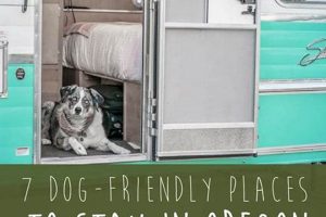 Find: Pet Friendly Oregon Coast Accommodations + Tips! Living in Oregon: Moving Tips, Cost of Living & Best Cities Find: Pet Friendly Oregon Coast Accommodations + Tips! | Living in Oregon: Moving Tips, Cost of Living & Best Cities
