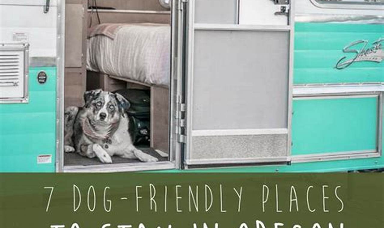 Find: Pet Friendly Oregon Coast Accommodations + Tips! Living in Oregon: Moving Tips, Cost of Living & Best Cities Find: Pet Friendly Oregon Coast Accommodations + Tips! | Living in Oregon: Moving Tips, Cost of Living & Best Cities