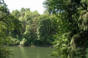 Explore Hyak Park, Oregon: A Nature Lover's Paradise Living in Oregon: Moving Tips, Cost of Living & Best Cities Explore Hyak Park, Oregon: A Nature Lover's Paradise | Living in Oregon: Moving Tips, Cost of Living & Best Cities