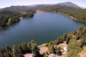 Your Guide: Lake Selmac Resort Oregon - Stay & Play! Living in Oregon: Moving Tips, Cost of Living & Best Cities Your Guide: Lake Selmac Resort Oregon - Stay & Play! | Living in Oregon: Moving Tips, Cost of Living & Best Cities