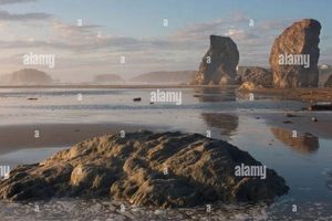 Explore Bandon State Natural Area Oregon: Coastal Beauty! Living in Oregon: Moving Tips, Cost of Living & Best Cities Explore Bandon State Natural Area Oregon: Coastal Beauty! | Living in Oregon: Moving Tips, Cost of Living & Best Cities