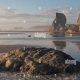 Explore Bandon State Natural Area Oregon: Coastal Beauty! | Living in Oregon: Moving Tips, Cost of Living & Best Cities