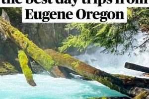 Easy Day Trips from Eugene, Oregon: Getaways Await! Living in Oregon: Moving Tips, Cost of Living & Best Cities Easy Day Trips from Eugene, Oregon: Getaways Await! | Living in Oregon: Moving Tips, Cost of Living & Best Cities