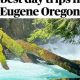 Easy Day Trips from Eugene, Oregon: Getaways Await! | Living in Oregon: Moving Tips, Cost of Living & Best Cities