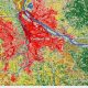 Understanding Elevation Portland Oregon: A Guide | Living in Oregon: Moving Tips, Cost of Living & Best Cities