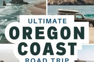 The Ultimate Oregon Coast Road Trip Guide Living in Oregon: Moving Tips, Cost of Living & Best Cities The Ultimate Oregon Coast Road Trip Guide | Living in Oregon: Moving Tips, Cost of Living & Best Cities