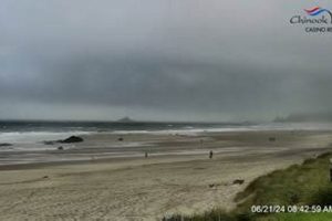 Live Views: Web Cam Lincoln City Oregon Coast Today Living in Oregon: Moving Tips, Cost of Living & Best Cities Live Views: Web Cam Lincoln City Oregon Coast Today | Living in Oregon: Moving Tips, Cost of Living & Best Cities