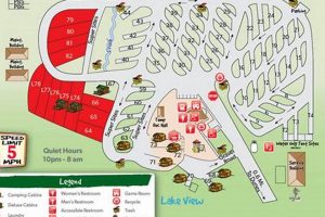 Your North Bend Oregon Accommodations Guide + Deals Living in Oregon: Moving Tips, Cost of Living & Best Cities Your North Bend Oregon Accommodations Guide + Deals | Living in Oregon: Moving Tips, Cost of Living & Best Cities