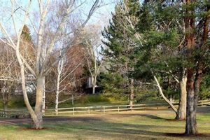 Visit Sam Johnson Park: Redmond, Oregon's Gem! Living in Oregon: Moving Tips, Cost of Living & Best Cities Visit Sam Johnson Park: Redmond, Oregon's Gem! | Living in Oregon: Moving Tips, Cost of Living & Best Cities