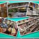 Indian Grocery Store In Portland Oregon | Living in Oregon: Moving Tips, Cost of Living & Best Cities