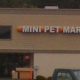 Mini Pet Mart North Bend Oregon | Living in Oregon: Moving Tips, Cost of Living & Best Cities