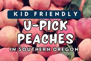 Grow Delicious Peach Medford Oregon: A Guide Living in Oregon: Moving Tips, Cost of Living & Best Cities Grow Delicious Peach Medford Oregon: A Guide | Living in Oregon: Moving Tips, Cost of Living & Best Cities