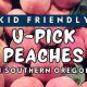 Grow Delicious Peach Medford Oregon: A Guide | Living in Oregon: Moving Tips, Cost of Living & Best Cities