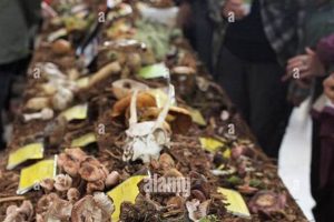 Explore Eugene Oregon's Mushroom Festival: Fungi Fun! Living in Oregon: Moving Tips, Cost of Living & Best Cities Explore Eugene Oregon's Mushroom Festival: Fungi Fun! | Living in Oregon: Moving Tips, Cost of Living & Best Cities