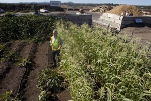 Landfill Bend Oregon Living in Oregon: Moving Tips, Cost of Living & Best Cities Landfill Bend Oregon | Living in Oregon: Moving Tips, Cost of Living & Best Cities