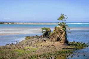 Explore Siletz Bay, Lincoln City, Oregon: A Coastal Gem Living in Oregon: Moving Tips, Cost of Living & Best Cities Explore Siletz Bay, Lincoln City, Oregon: A Coastal Gem | Living in Oregon: Moving Tips, Cost of Living & Best Cities