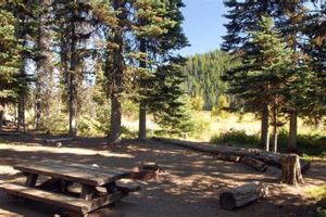 Plan Your Trip: Hosmer Lake Campground Oregon Guide! Living in Oregon: Moving Tips, Cost of Living & Best Cities Plan Your Trip: Hosmer Lake Campground Oregon Guide! | Living in Oregon: Moving Tips, Cost of Living & Best Cities