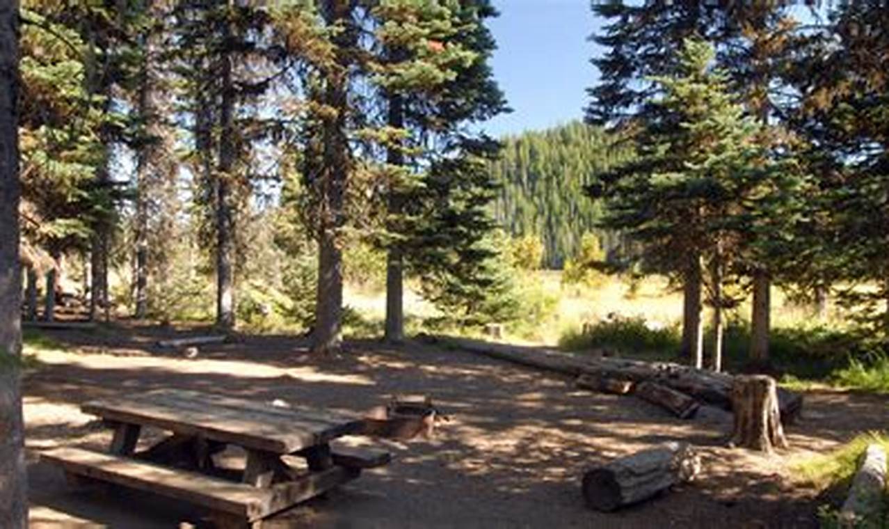 Plan Your Trip: Hosmer Lake Campground Oregon Guide! Living in Oregon: Moving Tips, Cost of Living & Best Cities Plan Your Trip: Hosmer Lake Campground Oregon Guide! | Living in Oregon: Moving Tips, Cost of Living & Best Cities