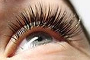 Get Luscious Lashes: Eyelash Extensions Eugene Oregon Living in Oregon: Moving Tips, Cost of Living & Best Cities Get Luscious Lashes: Eyelash Extensions Eugene Oregon | Living in Oregon: Moving Tips, Cost of Living & Best Cities