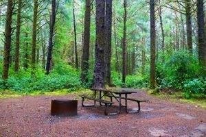 Explore Carl G Washburne State Park, Oregon | Coastal Gem Living in Oregon: Moving Tips, Cost of Living & Best Cities Explore Carl G Washburne State Park, Oregon | Coastal Gem | Living in Oregon: Moving Tips, Cost of Living & Best Cities