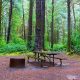 Explore Carl G Washburne State Park, Oregon | Coastal Gem | Living in Oregon: Moving Tips, Cost of Living & Best Cities