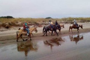 Coastal Horseback Riding Pacific City, Oregon - Trails & Tours Living in Oregon: Moving Tips, Cost of Living & Best Cities Coastal Horseback Riding Pacific City, Oregon - Trails & Tours | Living in Oregon: Moving Tips, Cost of Living & Best Cities